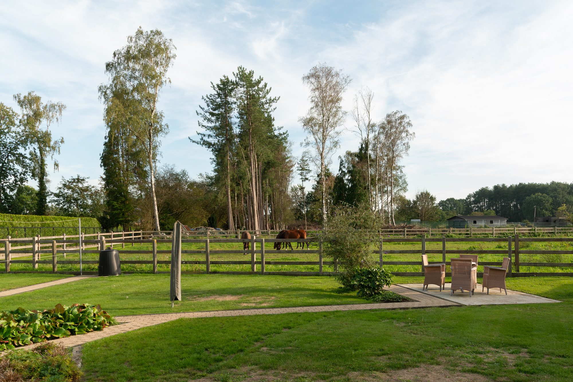 De tuin grenst achteraan aan een weide waar paarden grazen