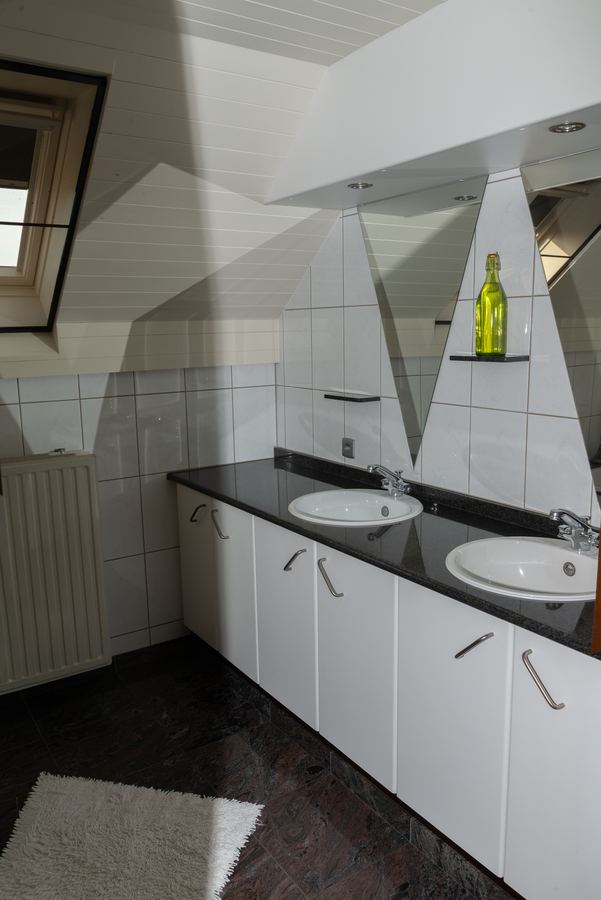 Dubbele lavabo met granieten blad, onder het dakraam