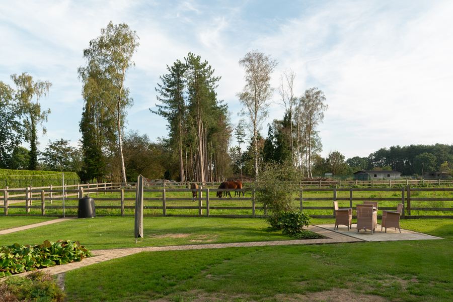 Achteraan grenst de tuin aan de weide — met paarden als buren